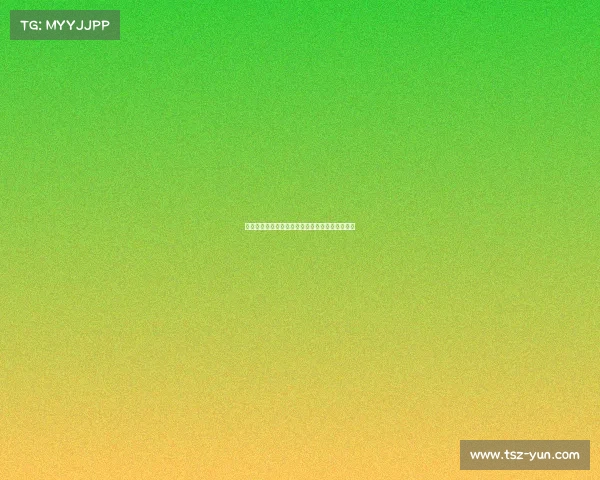 东方卫视搏击王者争霸热血沸腾擂台对决荣耀时刻